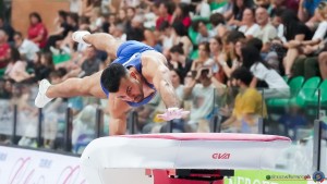 gam sfe07513 copia simone ferraro ph